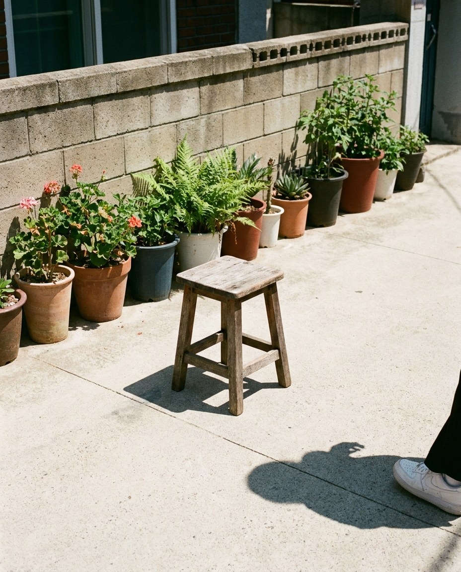 정오의 골목, 짧은 그림자